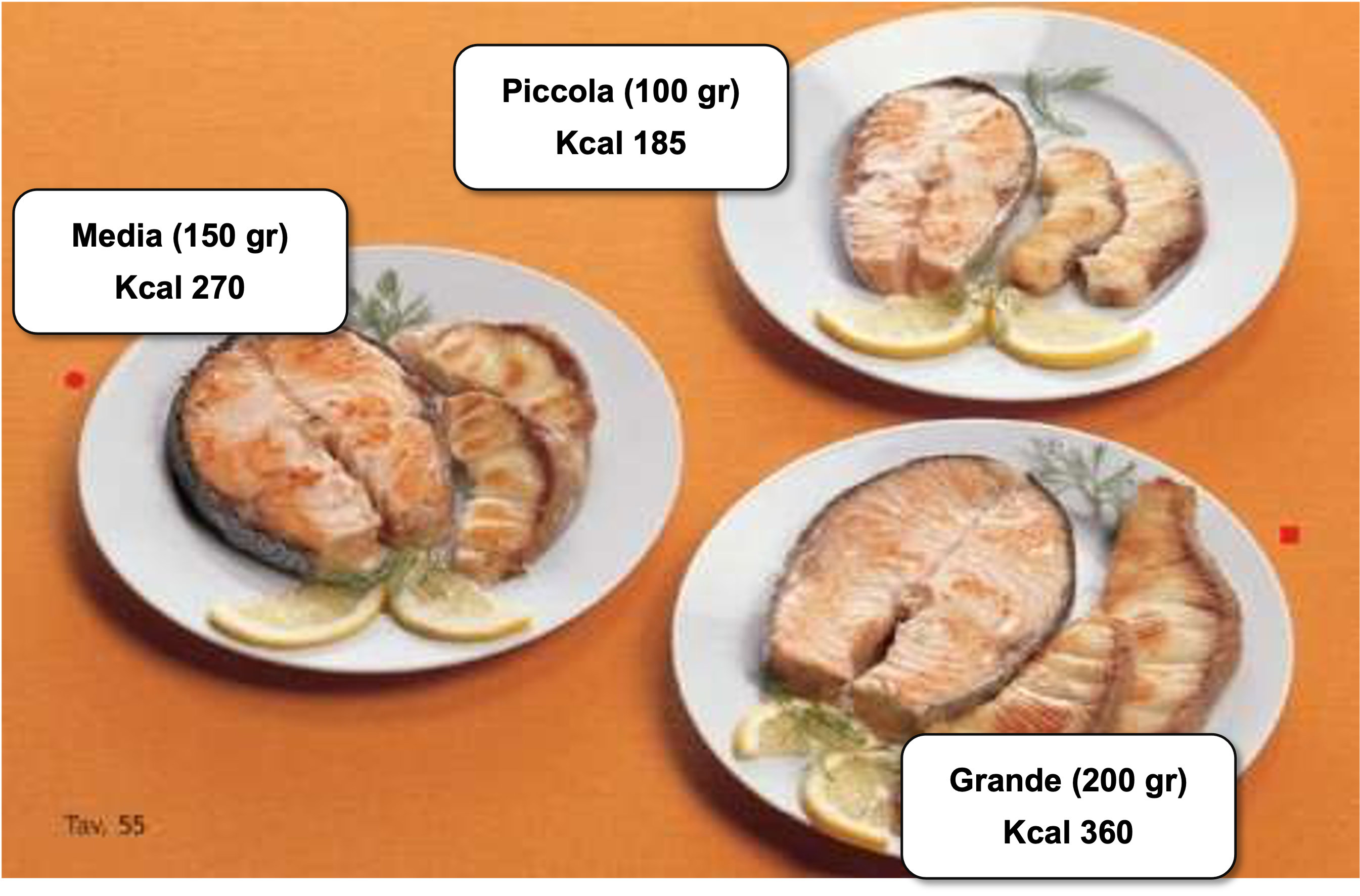 26_salmone