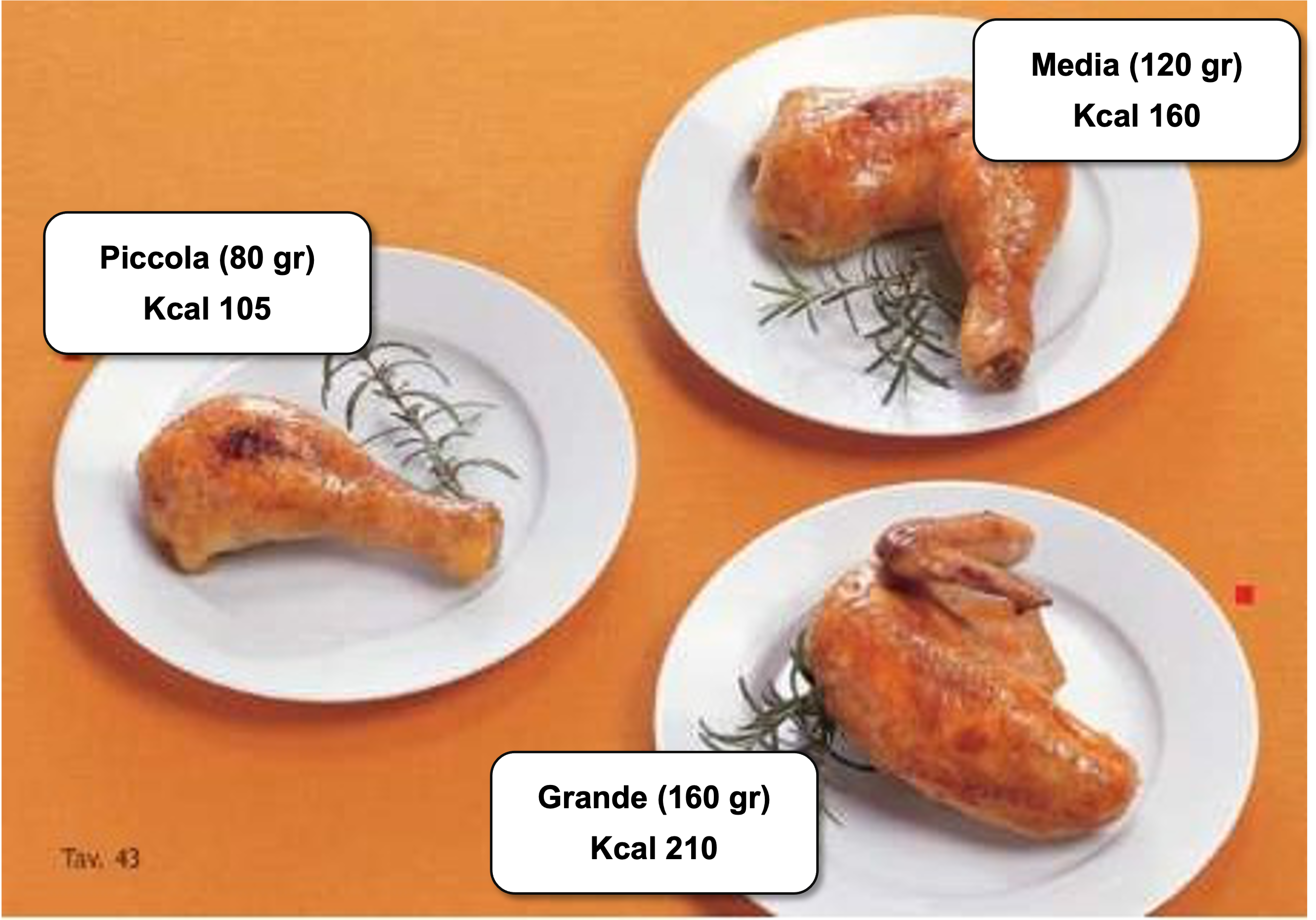 33_pollocoscia