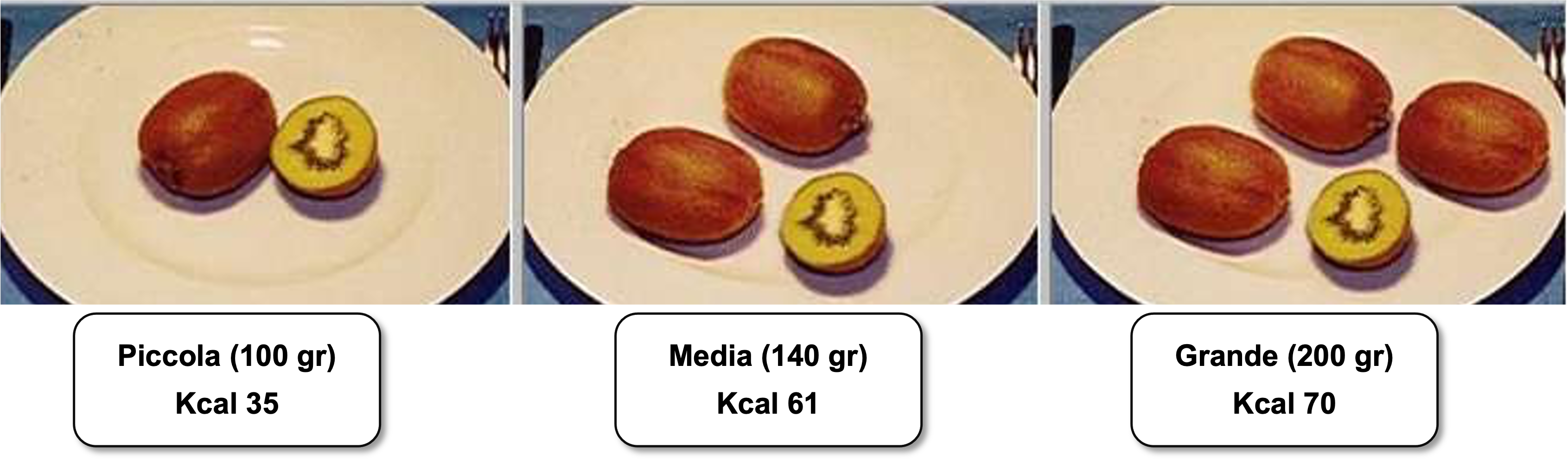 40_kiwi