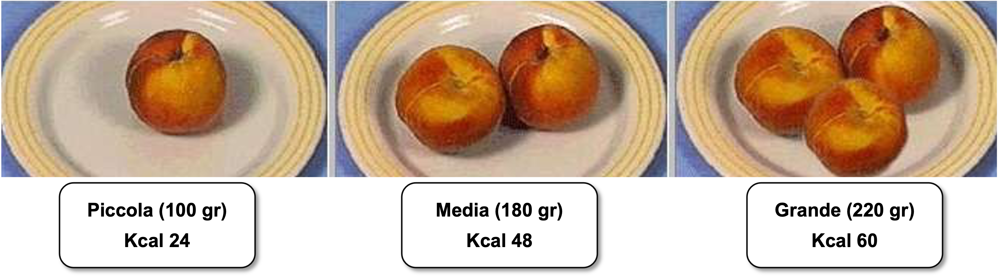41_pesche