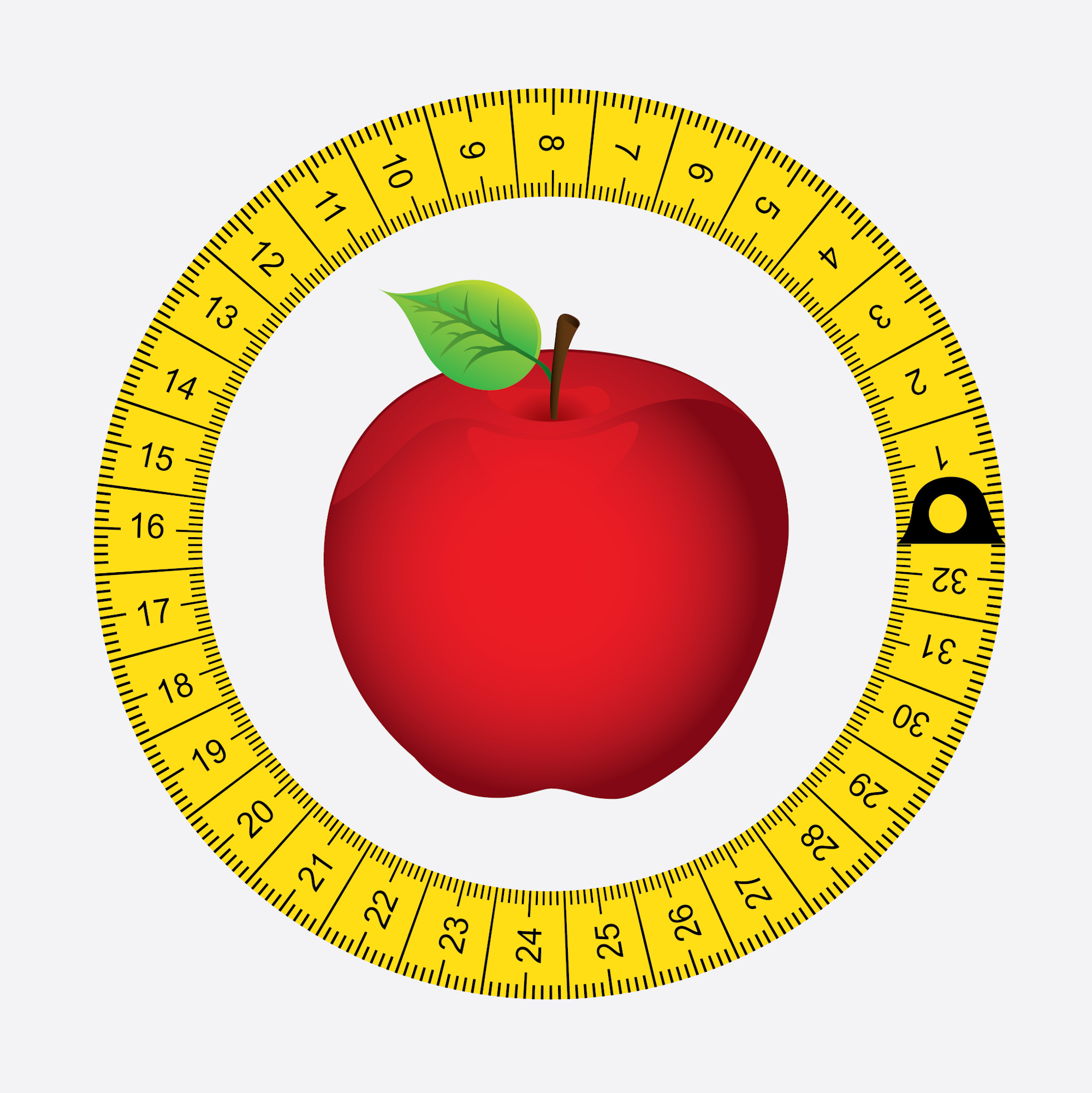 fruits design over white  background vector illustration